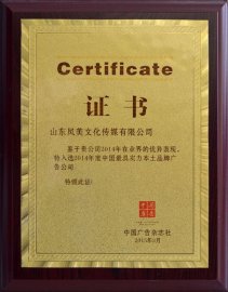 2014年度中国实力本土品牌广告公司